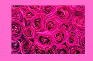 声楽レッスンの悩み