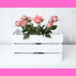 ”宝塚音楽学校”という本