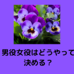 男役・娘役はどうやって決めるの?